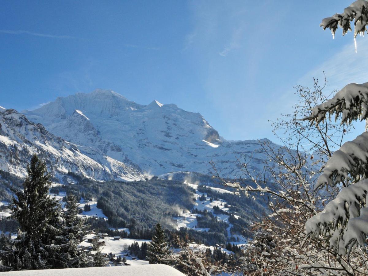 Apartment Rose Apt- Y By Interhome Wengen Esterno foto